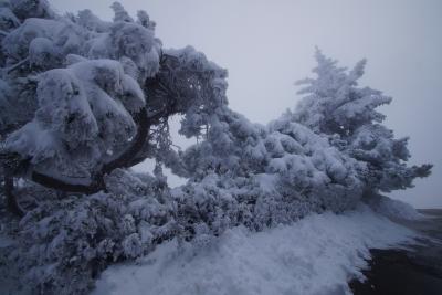 Прикрепленное изображение: A58-2 DSC00974.JPG